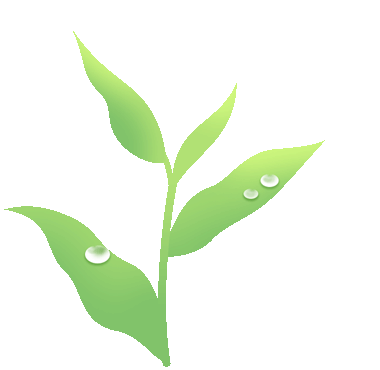 【动图】茶叶.gif