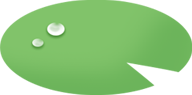 浮萍2.png
